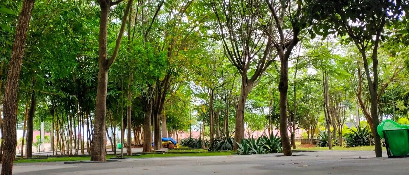 Green Valley